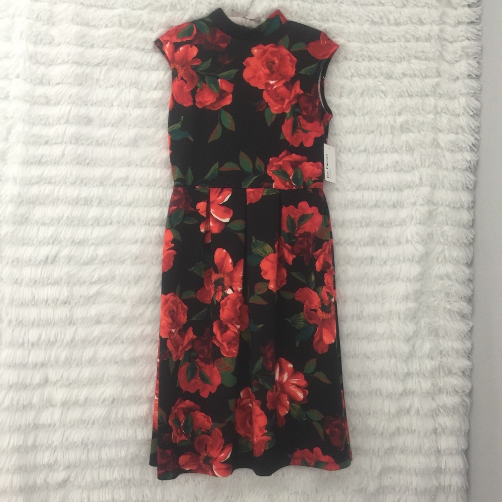 NWT En Focus Studio dress,size 8